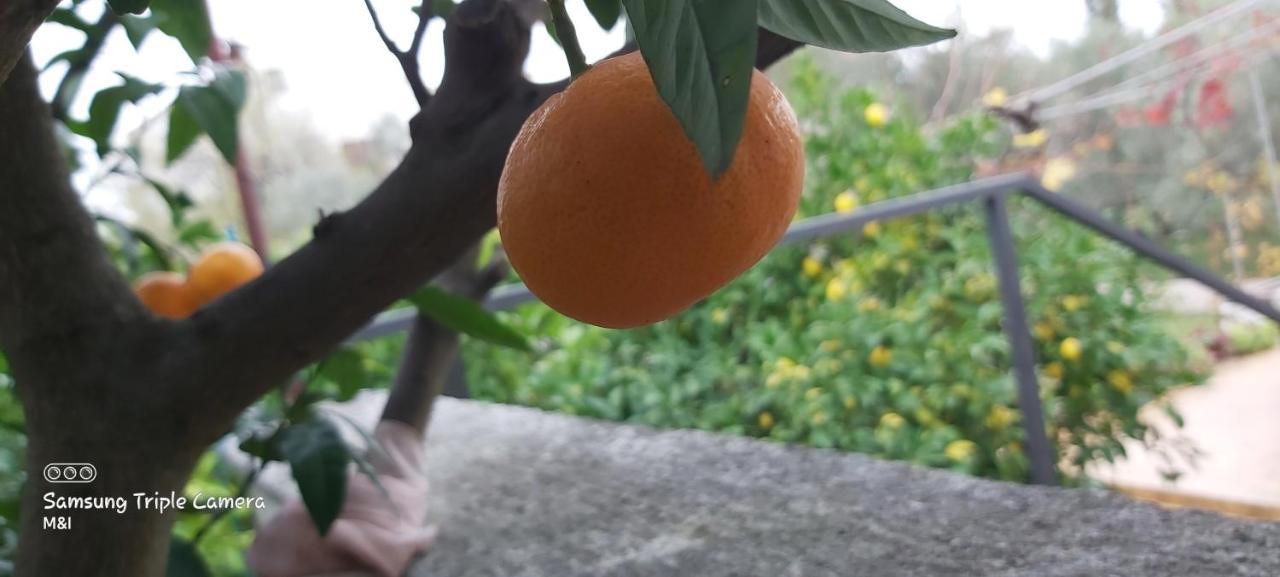 库克利卡Vecchia Oliva,Kuljica别墅 外观 照片